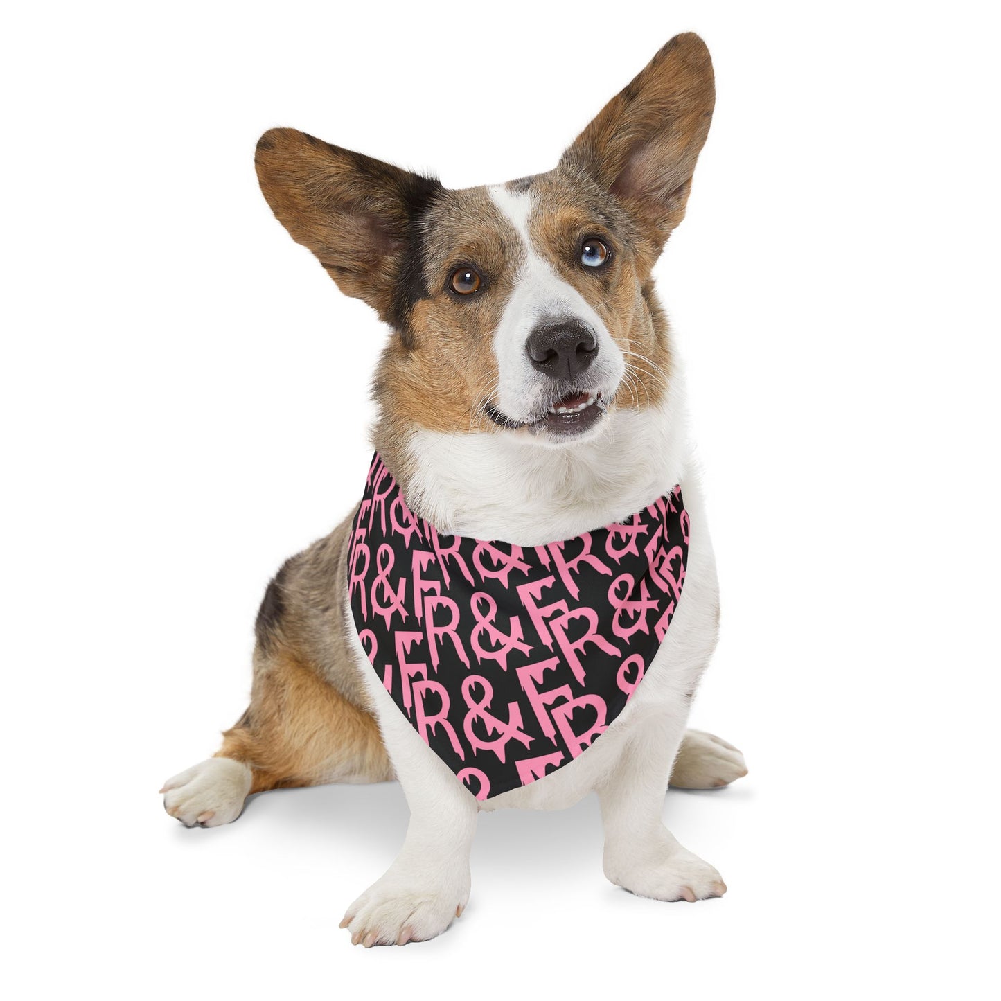 Pet Bandana Collar