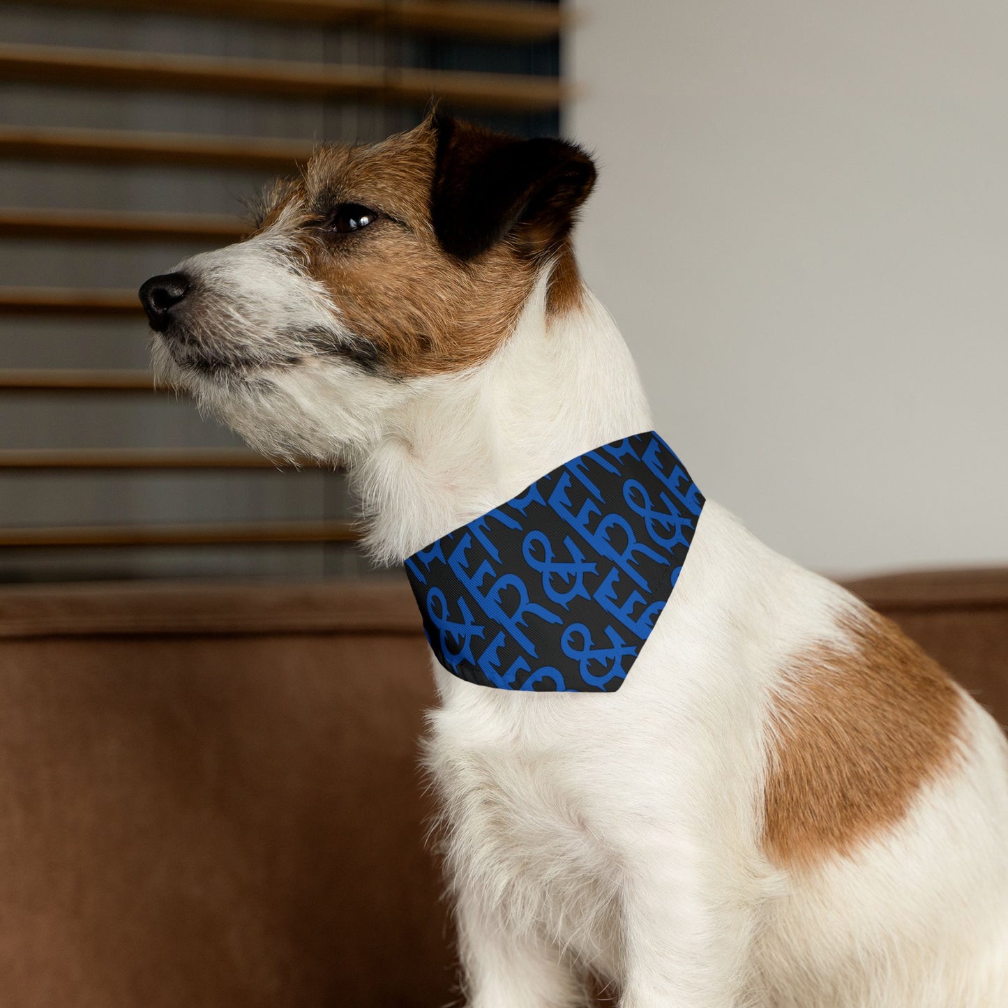 Pet Bandana Collar